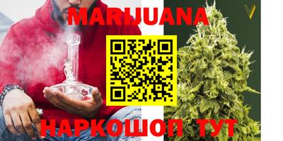 сатива Будённовск
