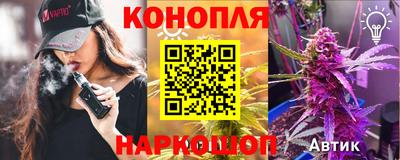 сатива Будённовск