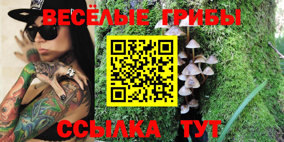 Меф МЯУ МЯУ кристаллы  ГАШ  Лсд 25  НБОМе  Вход с VPN  Хасавюрт  Бошки Шишки  COCAIN 