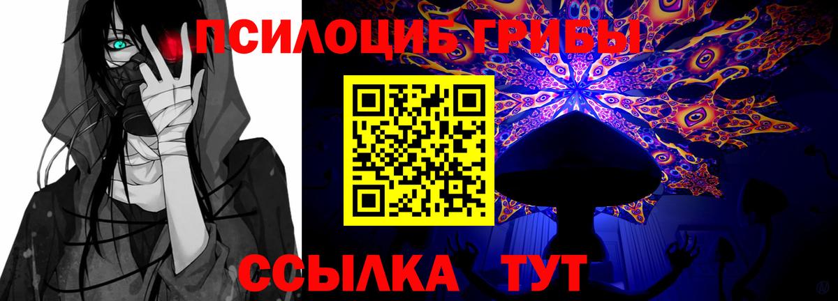 Хасавюрт  Псилоцибиновые грибы MAGIC MUSHROOMS  Вход с VPN  Галлюциногенные грибы мухоморы 
